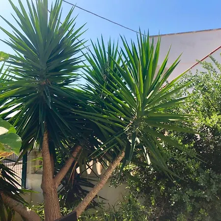 Semesterbostad Ani Villanova di Ostuni